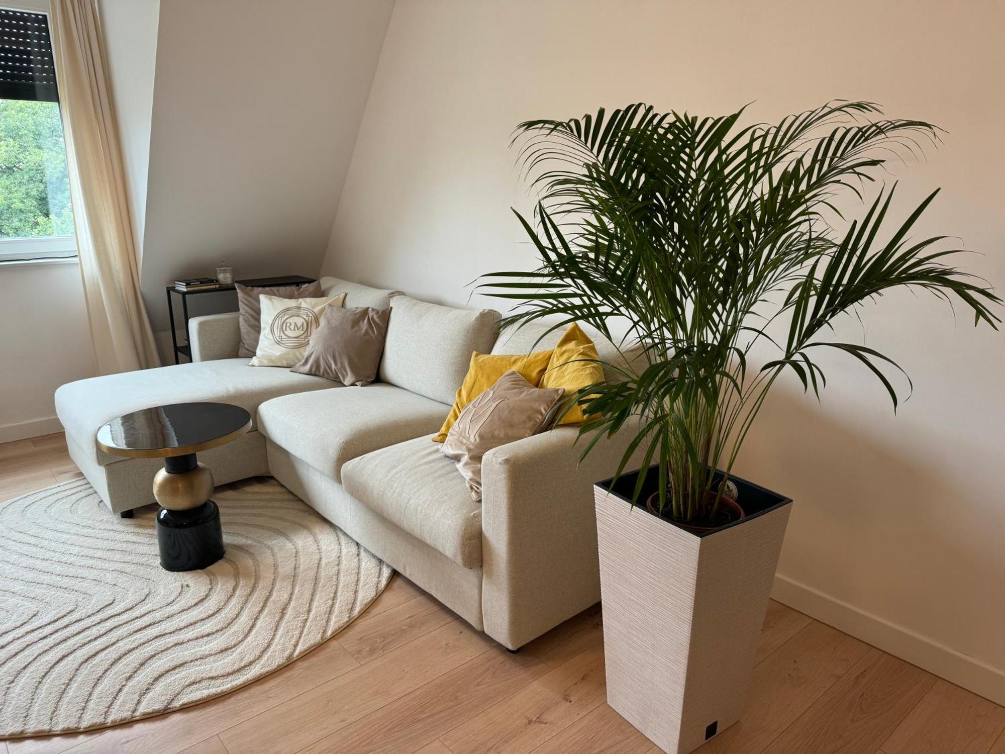 Moon Apartment Stary Toruń المظهر الخارجي الصورة